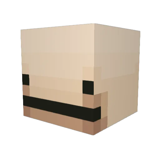 TOXIC_TORNADOx Minecraft avatar head, 3D render