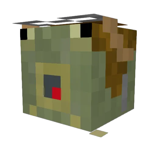 TOXICcorgi8765 Minecraft avatar head, 3D render