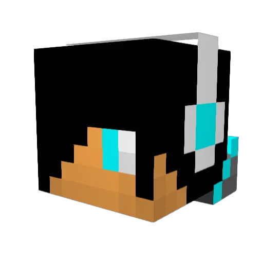TO_Enigma Minecraft avatar head, 3D render