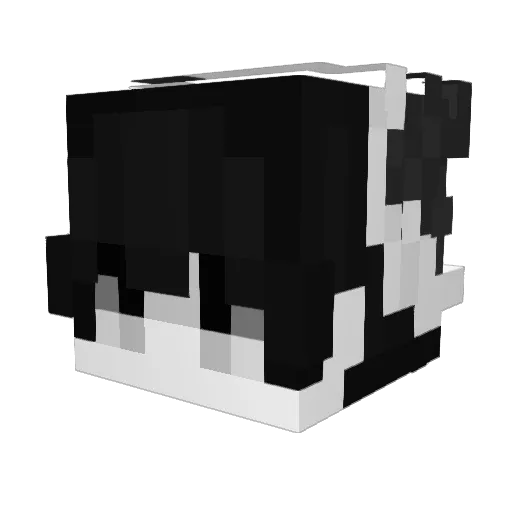 TO_HAUN Minecraft avatar head, 3D render
