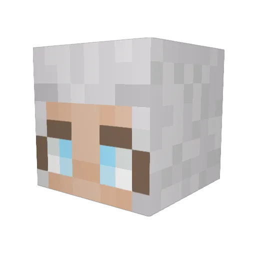 TO_ST_ER Minecraft avatar head, 3D render