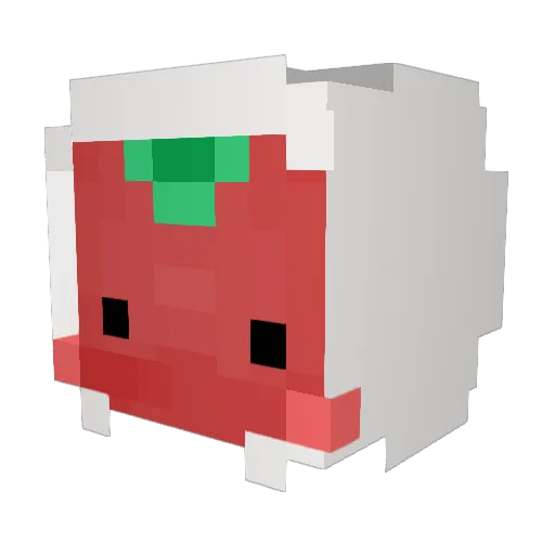 TOmaTO_rik Minecraft avatar head, 3D render