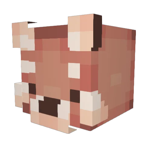 TOwel100 Minecraft avatar head, 3D render