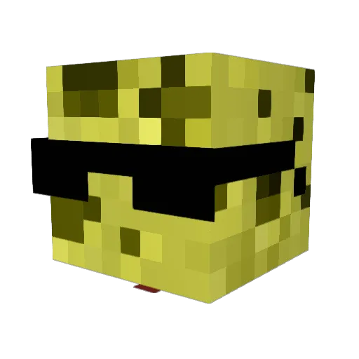 TP4MyBunghole Minecraft avatar head, 3D render