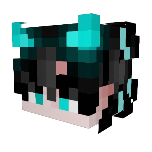 TPE_0503_TW Minecraft avatar head, 3D render