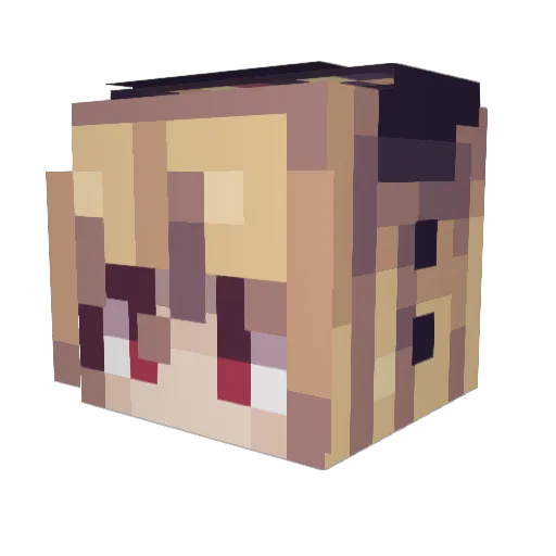 TPGAD Minecraft avatar head, 3D render