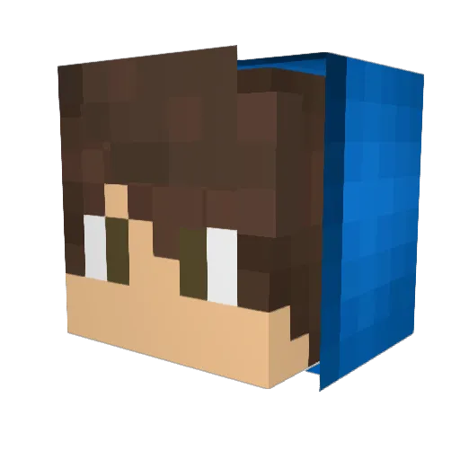 TPJ__ Minecraft avatar head, 3D render