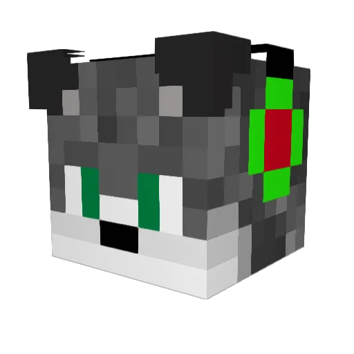 TPLT6 Minecraft avatar head, 3D render