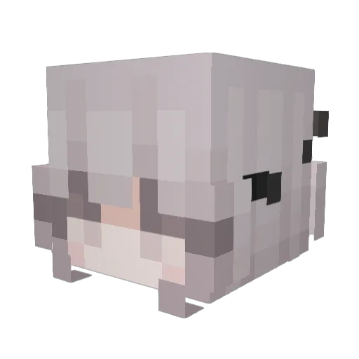TPOTU Minecraft avatar head, 3D render