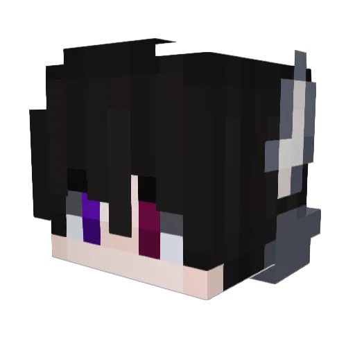 TPW20 Minecraft avatar head, 3D render