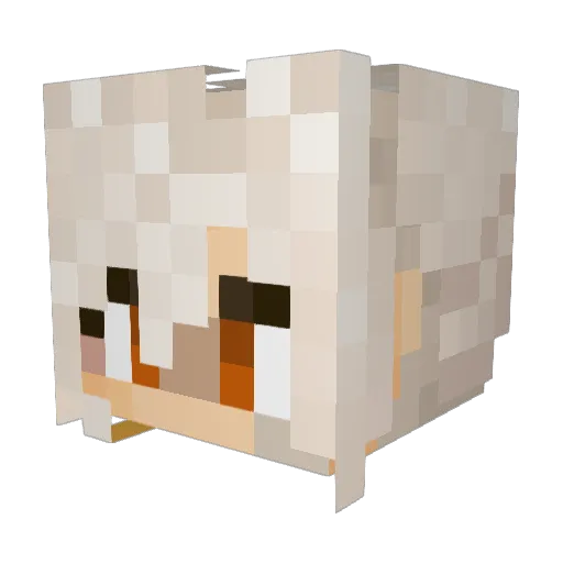 TPirrow Minecraft avatar head, 3D render