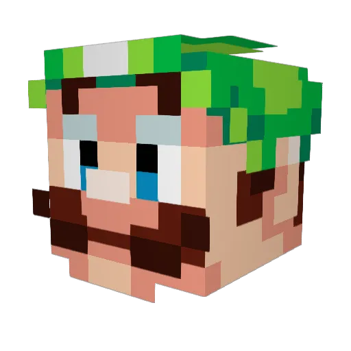 TPixel55 Minecraft avatar head, 3D render