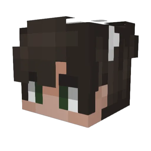 TR4SHx9 Minecraft avatar head, 3D render