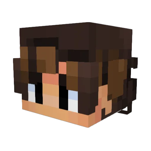 TRACKfofinho1 Minecraft avatar head, 3D render