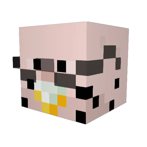 TRAILBLZR Minecraft avatar head, 3D render