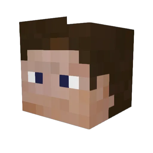 TRB__ Minecraft avatar head, 3D render