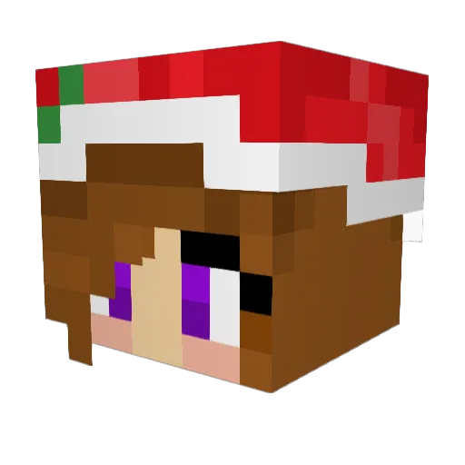 TRC Minecraft avatar head, 3D render