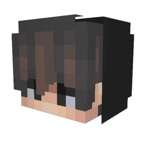 TREBL_THE_BEST Minecraft avatar head, 3D render