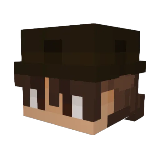 TREXSI Minecraft avatar head, 3D render