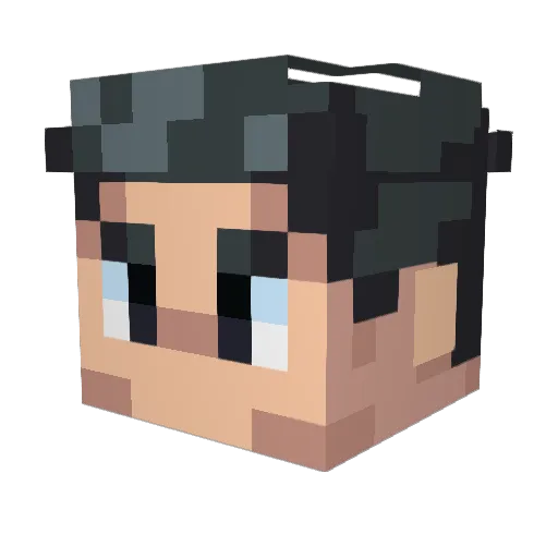 TRFERREIRA Minecraft avatar head, 3D render