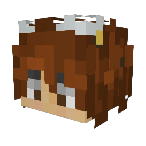 TRGDafydd Minecraft avatar head, 3D render
