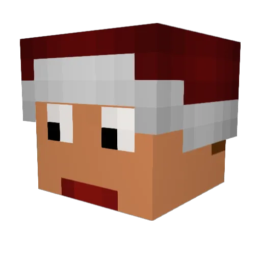 TRINKTBIER Minecraft avatar head, 3D render