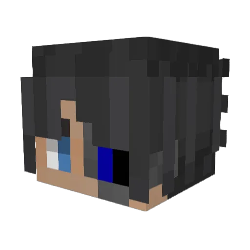 TRIPY4 Minecraft avatar head, 3D render