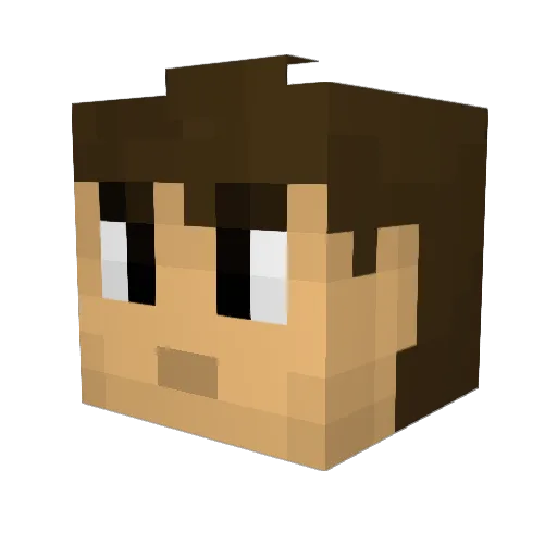 TROJAN719 Minecraft avatar head, 3D render