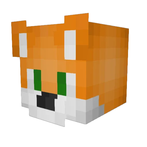 TROLLER777 Minecraft avatar head, 3D render