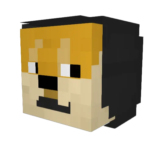 TROLLERDOGE Minecraft avatar head, 3D render