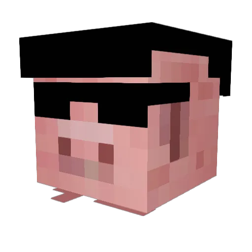 TROPERGAME Minecraft avatar head, 3D render