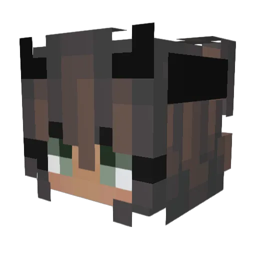 TRTDrafurnis Minecraft avatar head, 3D render