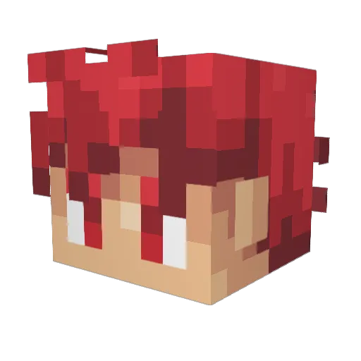 TRT_Nuke Minecraft avatar head, 3D render