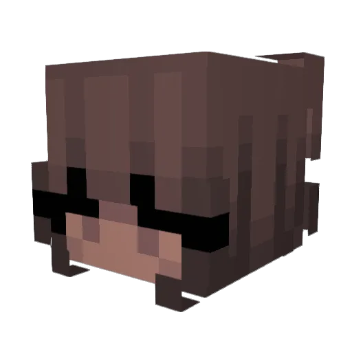 TRUEPROXY Minecraft avatar head, 3D render