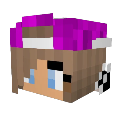 TRULS_ Minecraft avatar head, 3D render