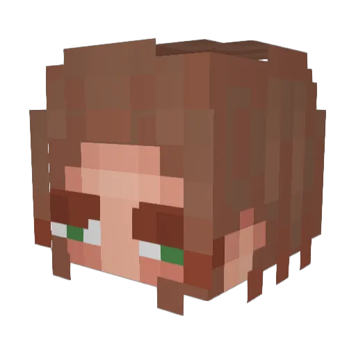 TRUS0VA Minecraft avatar head, 3D render