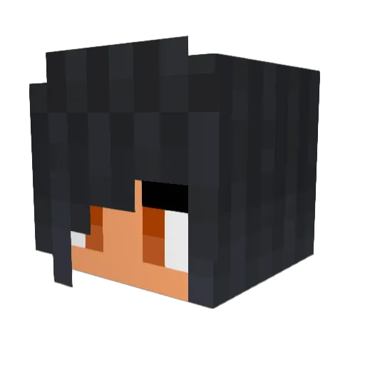 TRX178 Minecraft avatar head, 3D render
