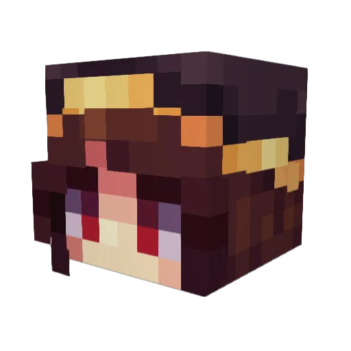 TRYHAAAAAAAAARD Minecraft avatar head, 3D render