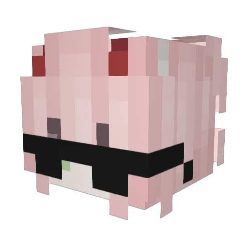 TR_4sh Minecraft avatar head, 3D render