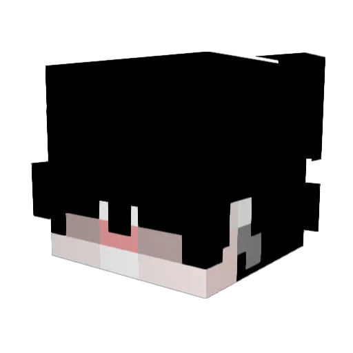 TR_65 Minecraft avatar head, 3D render