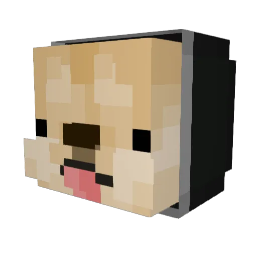 TRkadir16 Minecraft avatar head, 3D render