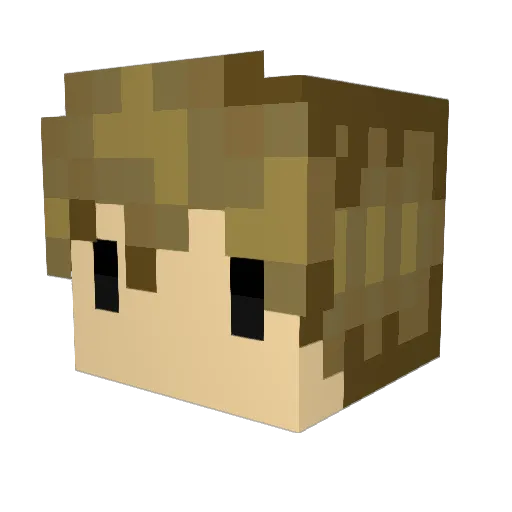 TRprogamer37 Minecraft avatar head, 3D render