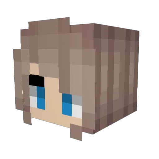 TRpytkaJ Minecraft avatar head, 3D render