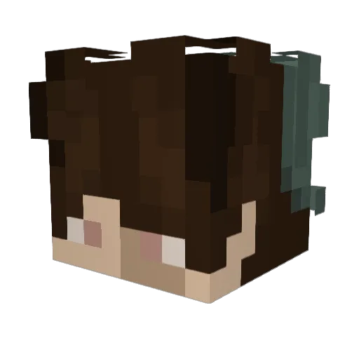 TS49 Minecraft avatar head, 3D render