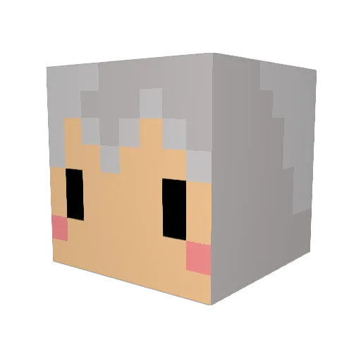 TSAITZUI1127_TW Minecraft avatar head, 3D render