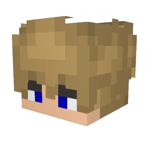 TSG5 Minecraft avatar head, 3D render