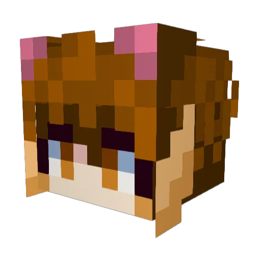TSJorgeEsquivel Minecraft avatar head, 3D render