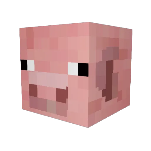 TSM_RAJ7282 Minecraft avatar head, 3D render