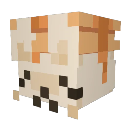 TSPancakes85 Minecraft avatar head, 3D render
