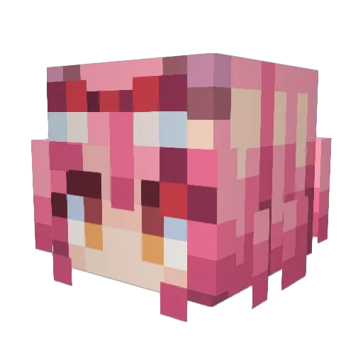 TSS42 Minecraft avatar head, 3D render